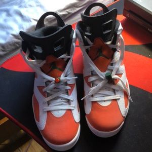 Nike Jordan 6 Gatorade